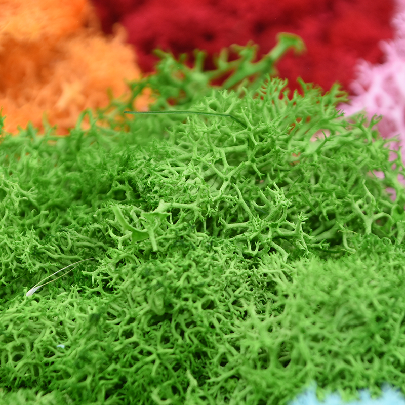 20/40g Artificial Green Plants - Terrarium Moss Art recensie en prijs