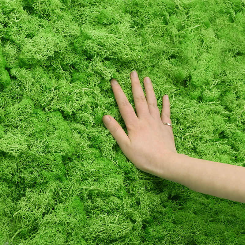20/40g Artificial Green Plants - Terrarium Moss Art recensie en prijs