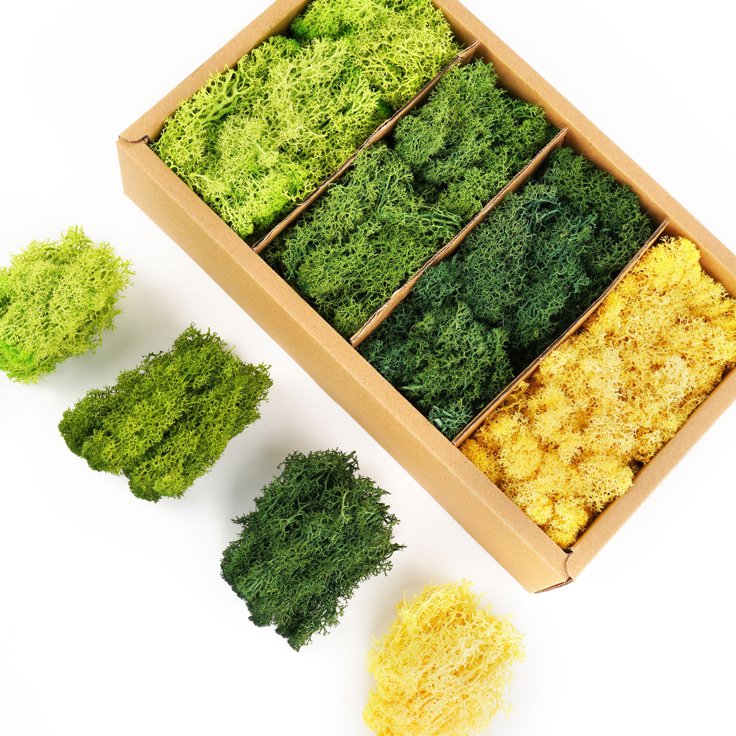 Artificial Green Plants Eterna - Terrarium Moss Art recensie en prijs