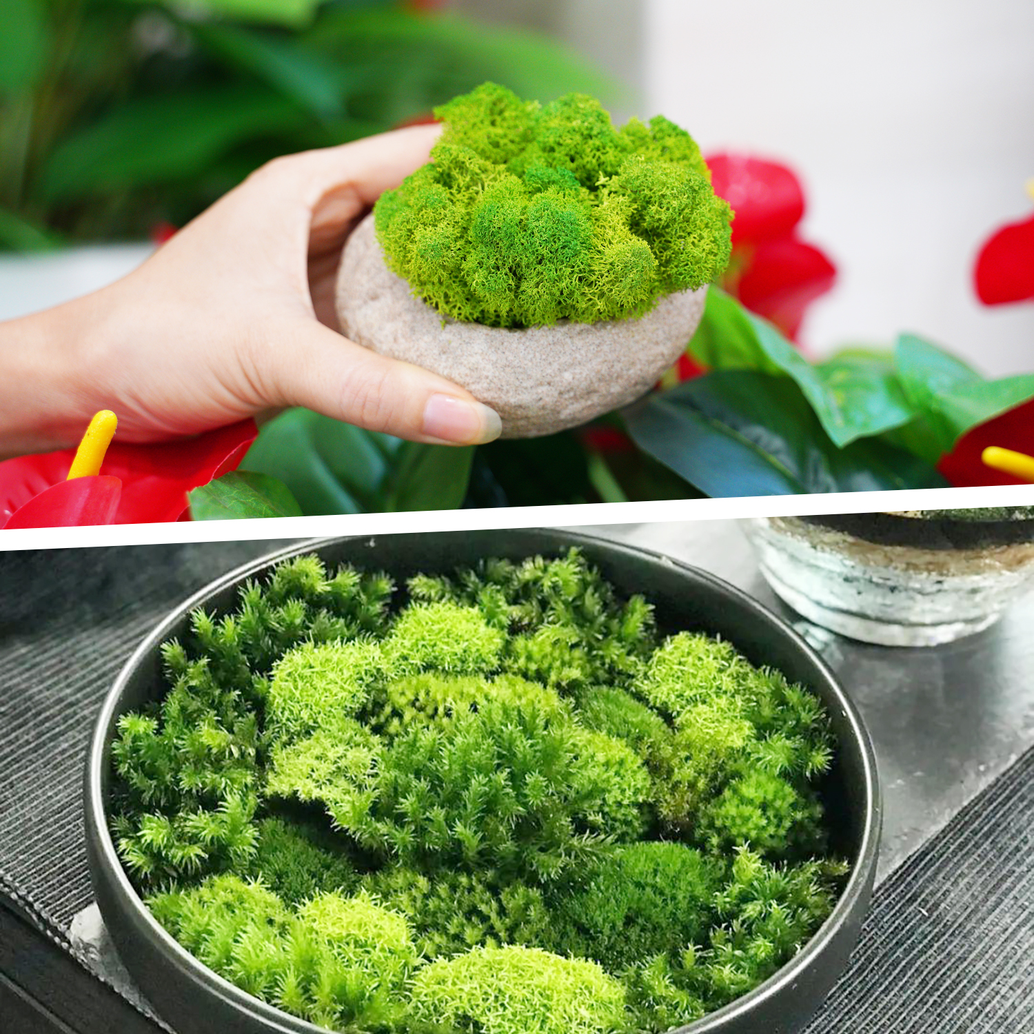 Artificial Green Plants Eterna - Terrarium Moss Art recensie en prijs