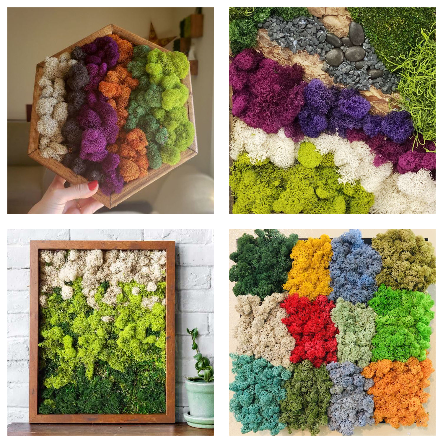 Artificial Green Plants Eterna - Terrarium Moss Art recensie en prijs