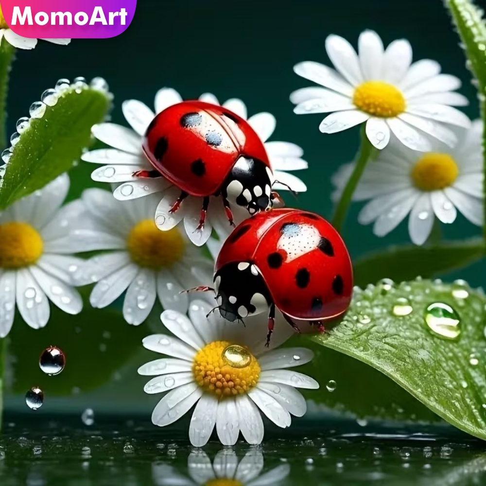 Momoart Diamond Painting Ladyb - Resin Craft For Beginners recensie en prijs