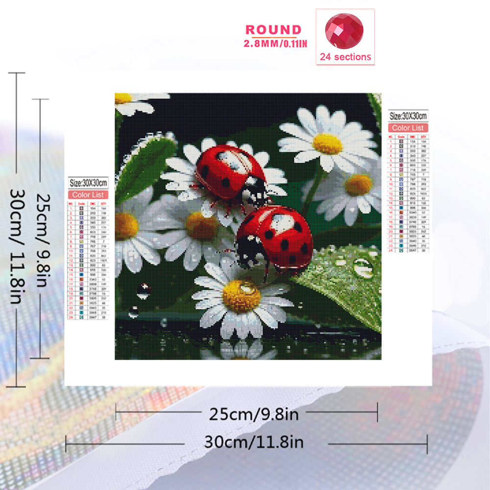 Momoart Diamond Painting Ladyb - Resin Craft For Beginners recensie en prijs