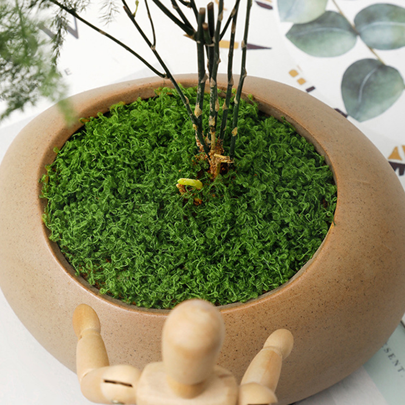 about 20g Artificial Green Pla - Terrarium Moss Art recensie en prijs