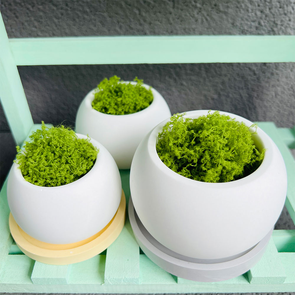 Spherical Flowerpot Silicone M - Serving Tray Mold recensie en prijs