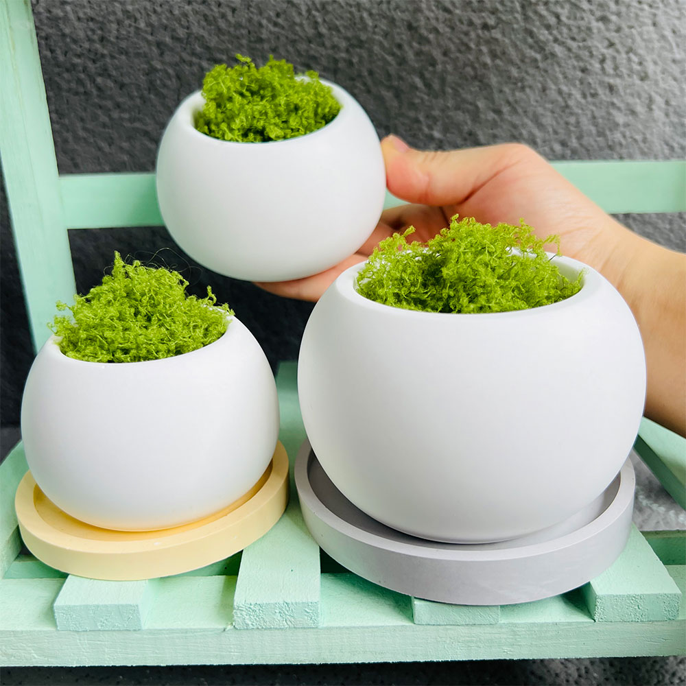 Spherical Flowerpot Silicone M - Serving Tray Mold recensie en prijs