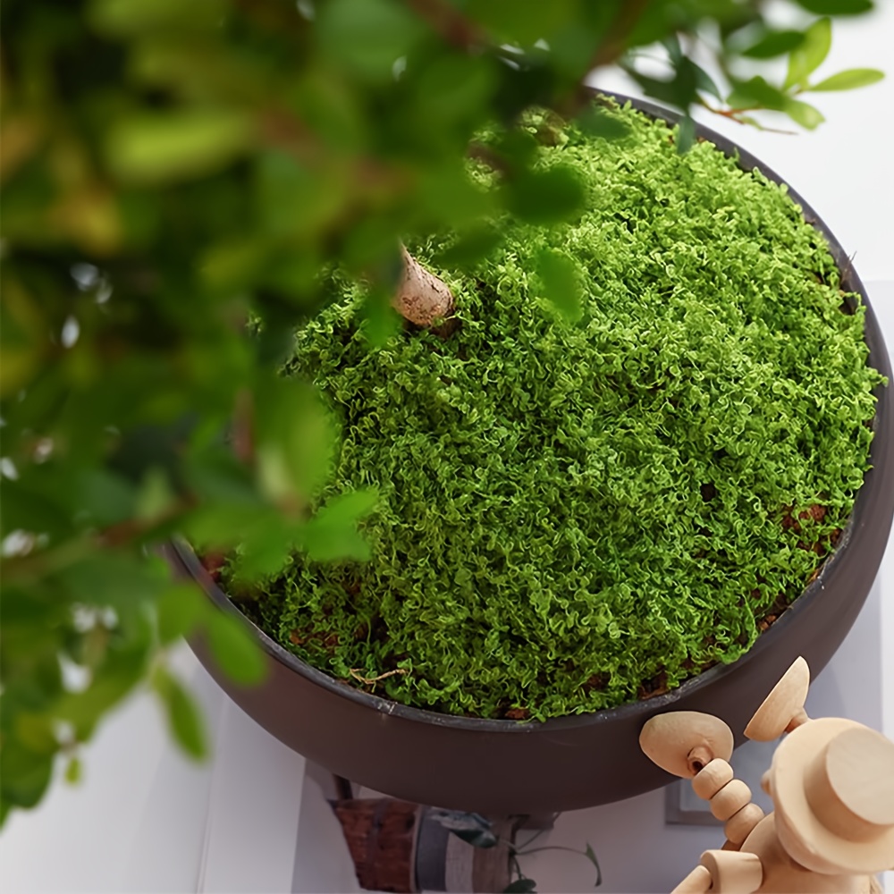 1pack Artificial Fake Moss, 1. - Terrarium Moss Art recensie en prijs