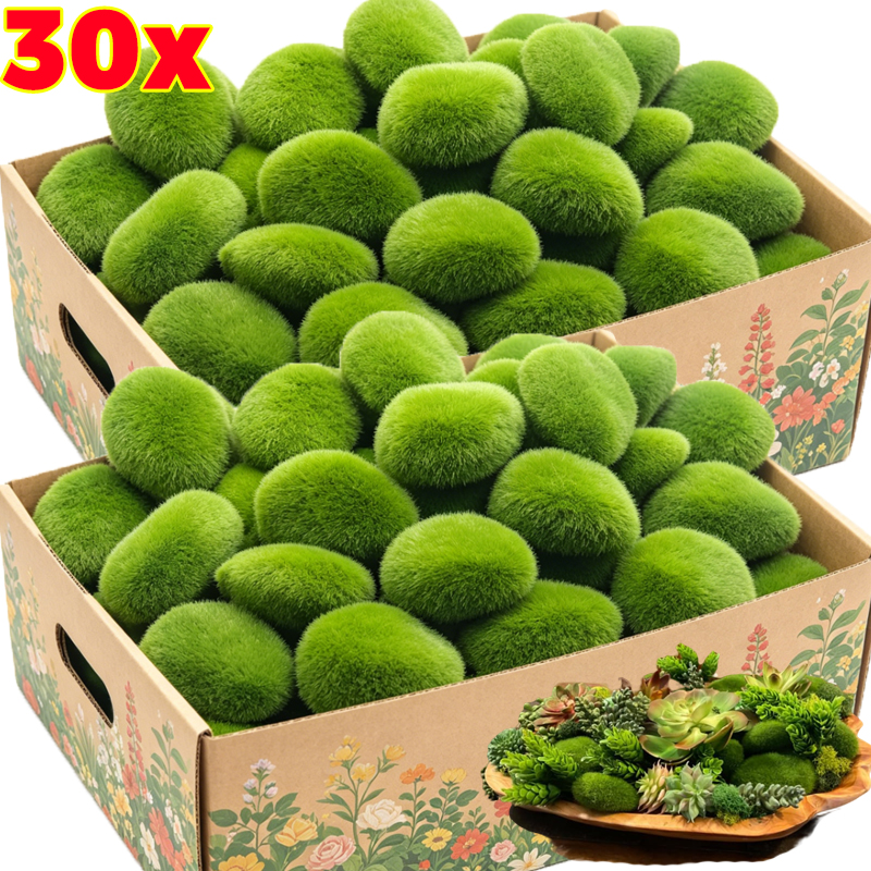 5/30pcs Simulation Moss Stone  - Terrarium Moss Art recensie en prijs