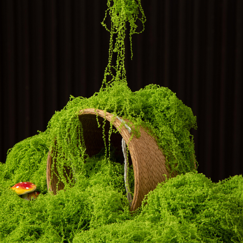 200g Eternal Life Moss DIY Cra - Terrarium Moss Art recensie en prijs