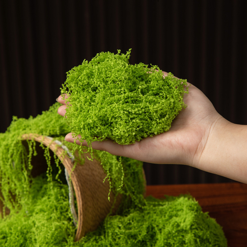 200g Eternal Life Moss DIY Cra - Terrarium Moss Art recensie en prijs