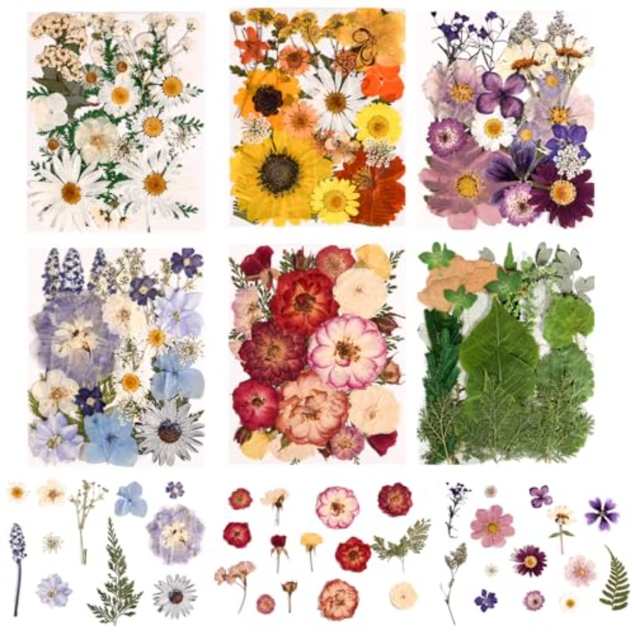 6 Pack 150PCS Real Pressed Dri - Resin Jewelry Kit recensie en prijs