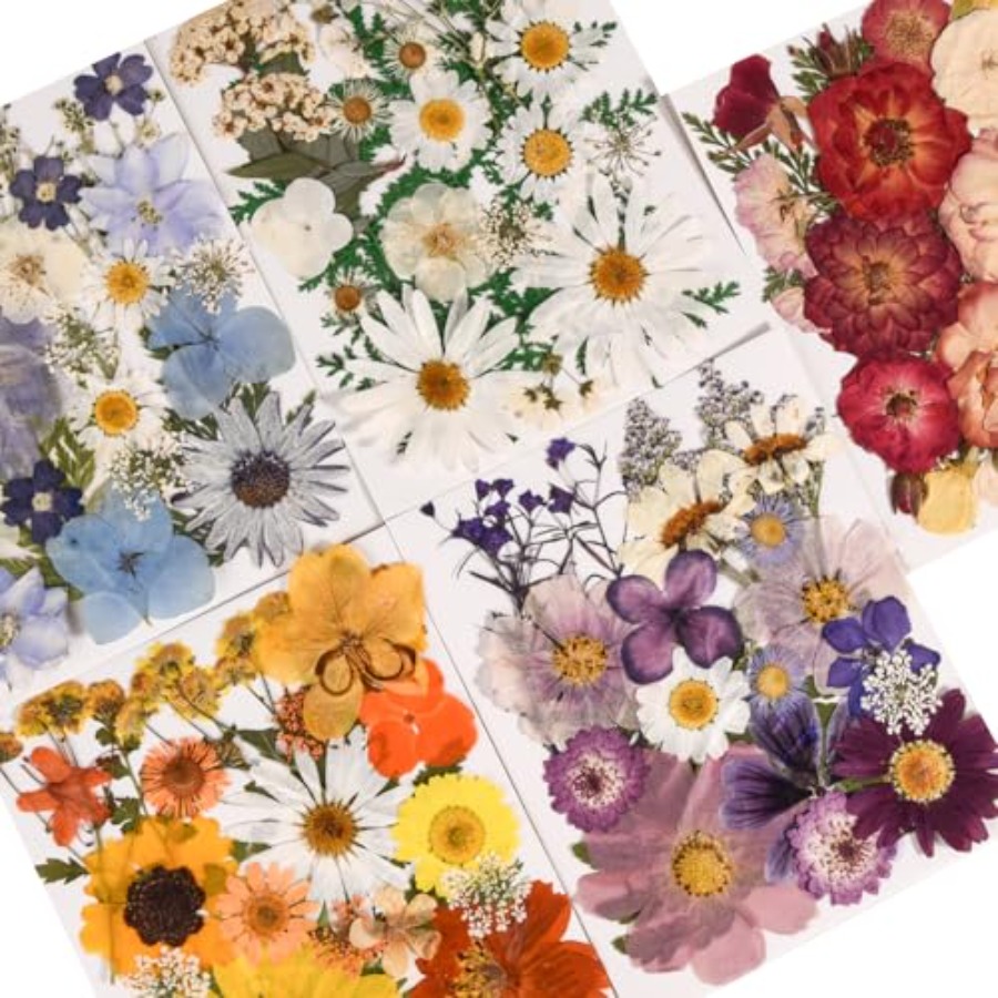 6 Pack 150PCS Real Pressed Dri - Resin Jewelry Kit recensie en prijs