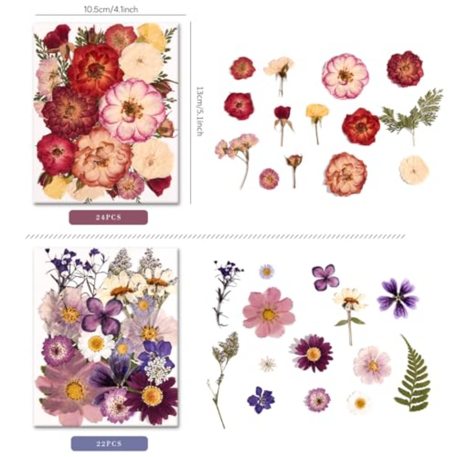 6 Pack 150PCS Real Pressed Dri - Resin Jewelry Kit recensie en prijs