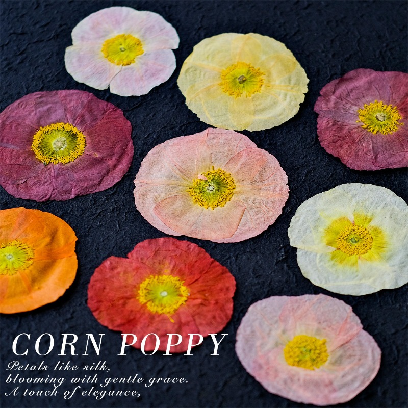 1pcs,Nature Field Poppy Presse - Resin Craft Ideas recensie en prijs