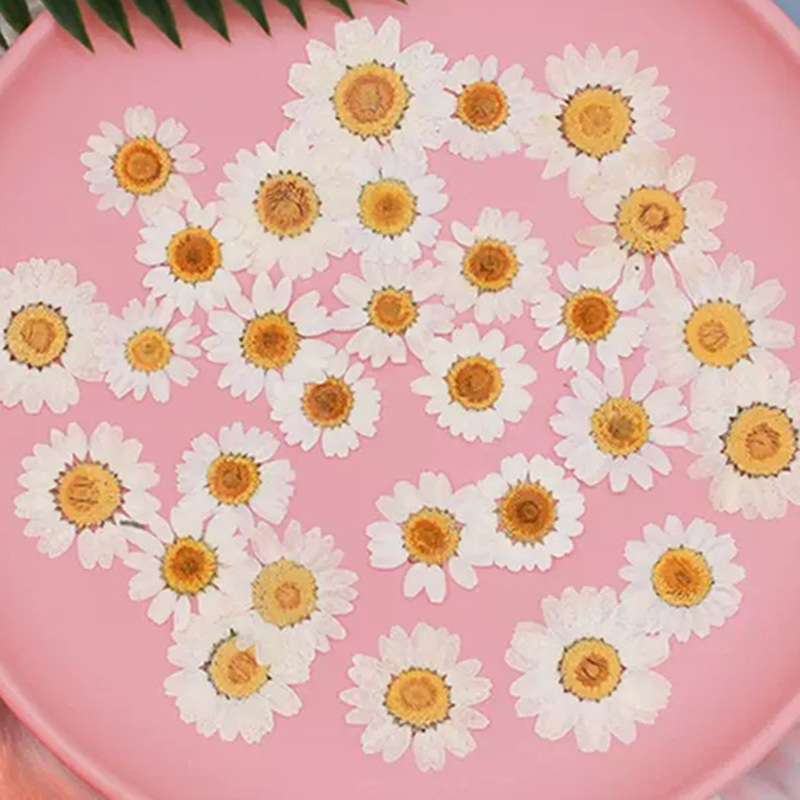 100Pcs Natural White Crystal C - Resin Craft Ideas recensie en prijs