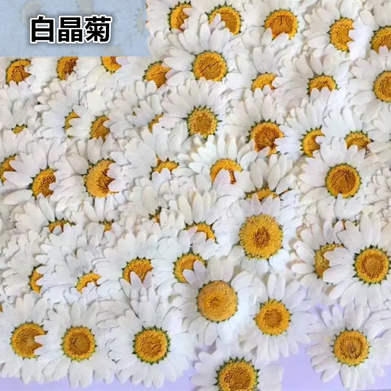 100Pcs Natural White Crystal C - Resin Craft Ideas recensie en prijs