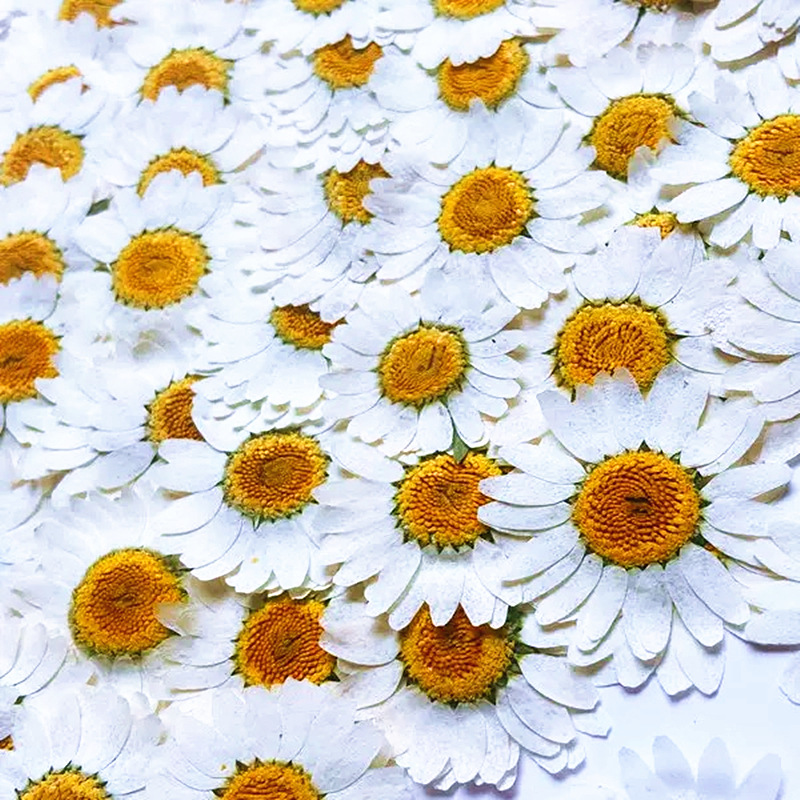 100Pcs Natural White Crystal C - Resin Craft Ideas recensie en prijs