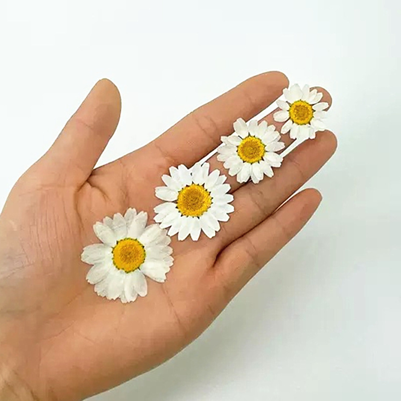 100Pcs Natural White Crystal C - Resin Craft Ideas recensie en prijs