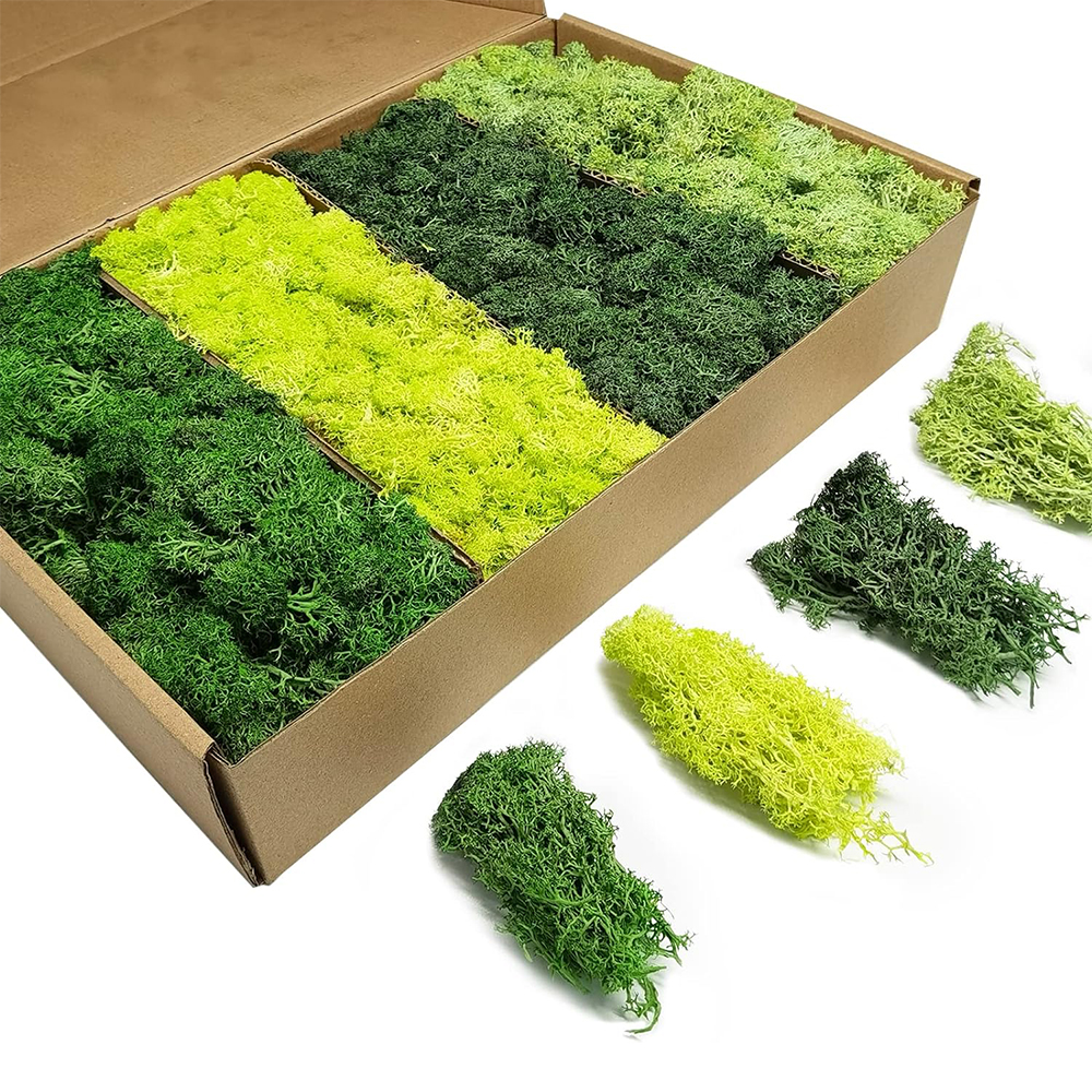 Artificial Green Plants Eterna - Terrarium Moss Art recensie en prijs