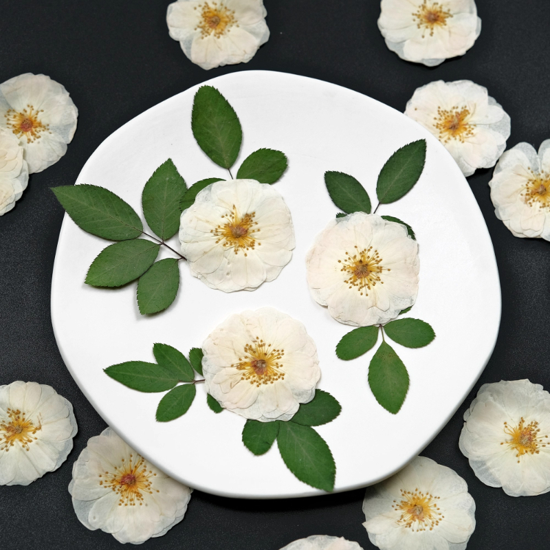 6pcs,9pcs,Nature White Rose Pr - Resin Craft Ideas recensie en prijs