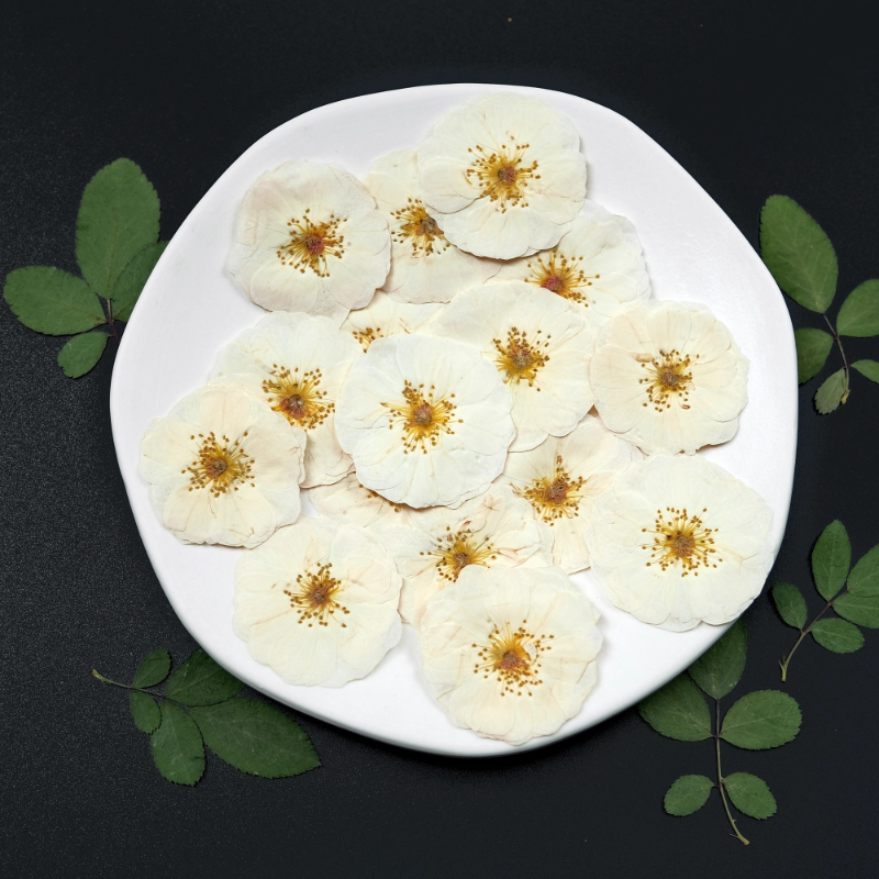 6pcs,9pcs,Nature White Rose Pr - Resin Craft Ideas recensie en prijs