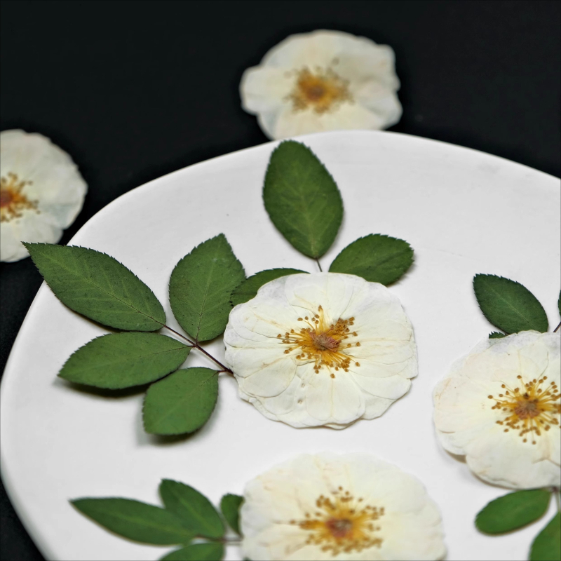 6pcs,9pcs,Nature White Rose Pr - Resin Craft Ideas recensie en prijs