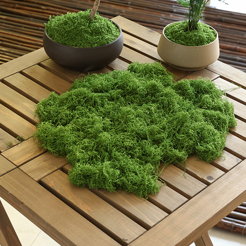 about 20g Artificial Green Pla - Terrarium Moss Art recensie en prijs