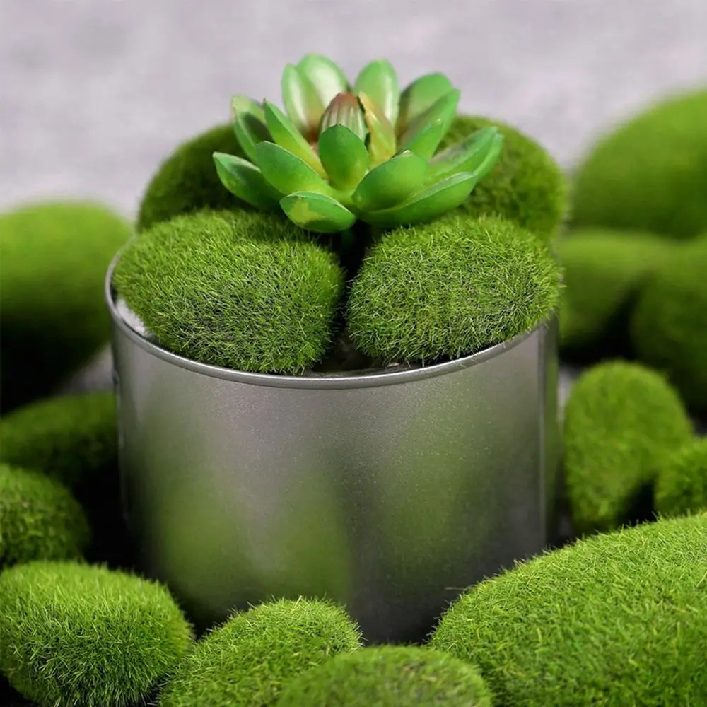 Floral Arrangements Fake Stone - Terrarium Moss Art recensie en prijs