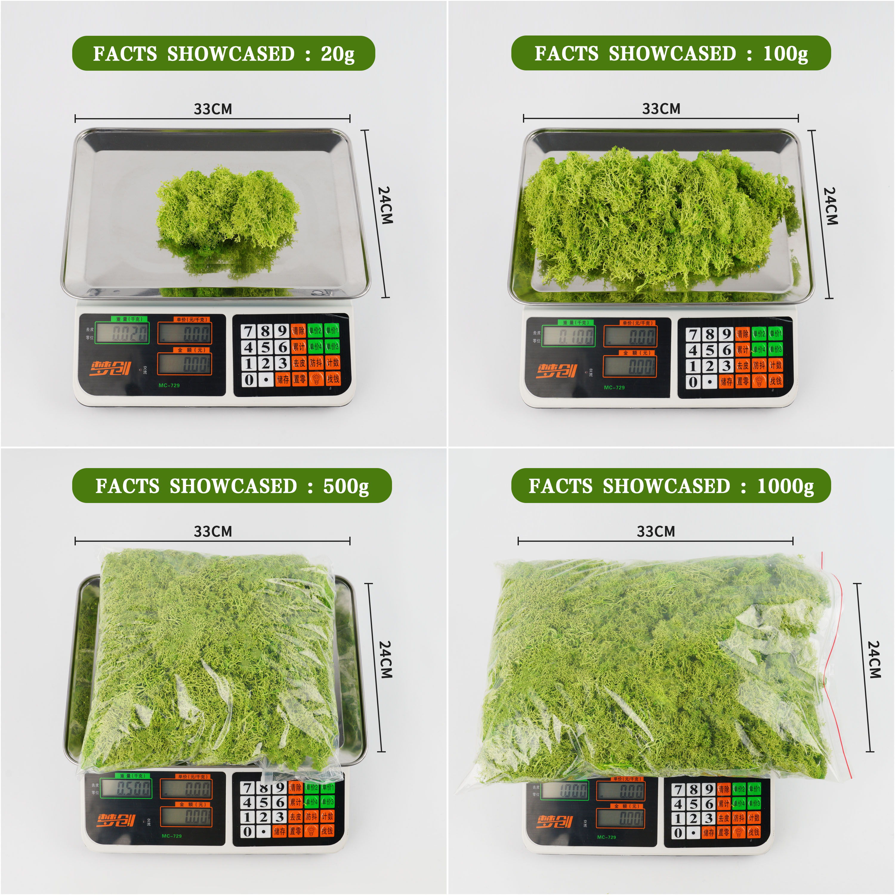 20/40/100g Eternal Life Moss D - Terrarium Moss Art recensie en prijs