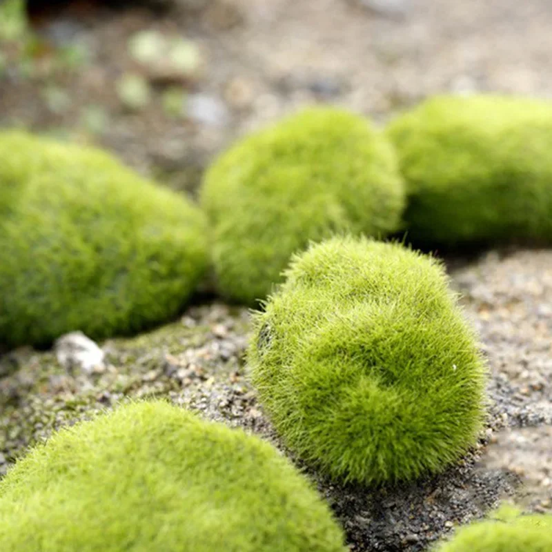 Fake Stone Artificial Moss Roc - Terrarium Moss Art recensie en prijs