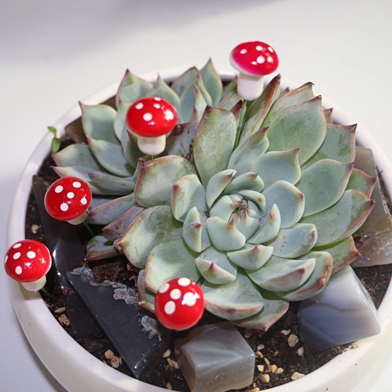 10-80PCS Mini Color Mushroom D - Terrarium Moss Art recensie en prijs