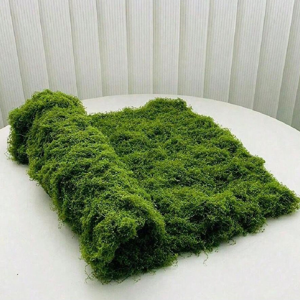 1*1m Fake Moss DIY Crafts Gras - Terrarium Moss Art recensie en prijs
