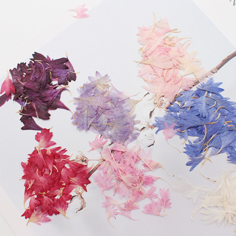20 Plant Specimens, Cornflower - Resin Jewelry Kit recensie en prijs