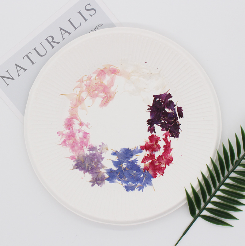 20 Plant Specimens, Cornflower - Resin Jewelry Kit recensie en prijs