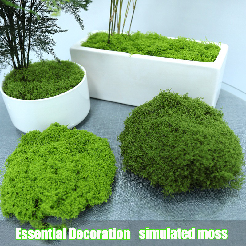 Artificial simulation of moss  - Terrarium Moss Art recensie en prijs