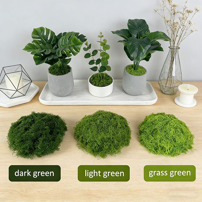 Artificial simulation of moss  - Terrarium Moss Art recensie en prijs