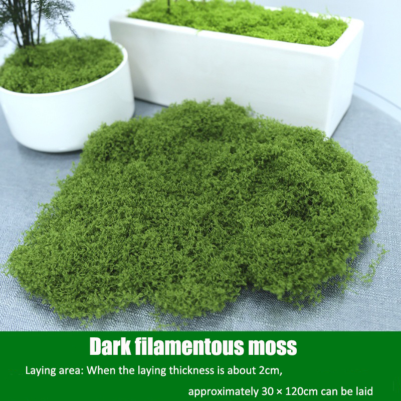 Artificial simulation of moss  - Terrarium Moss Art recensie en prijs
