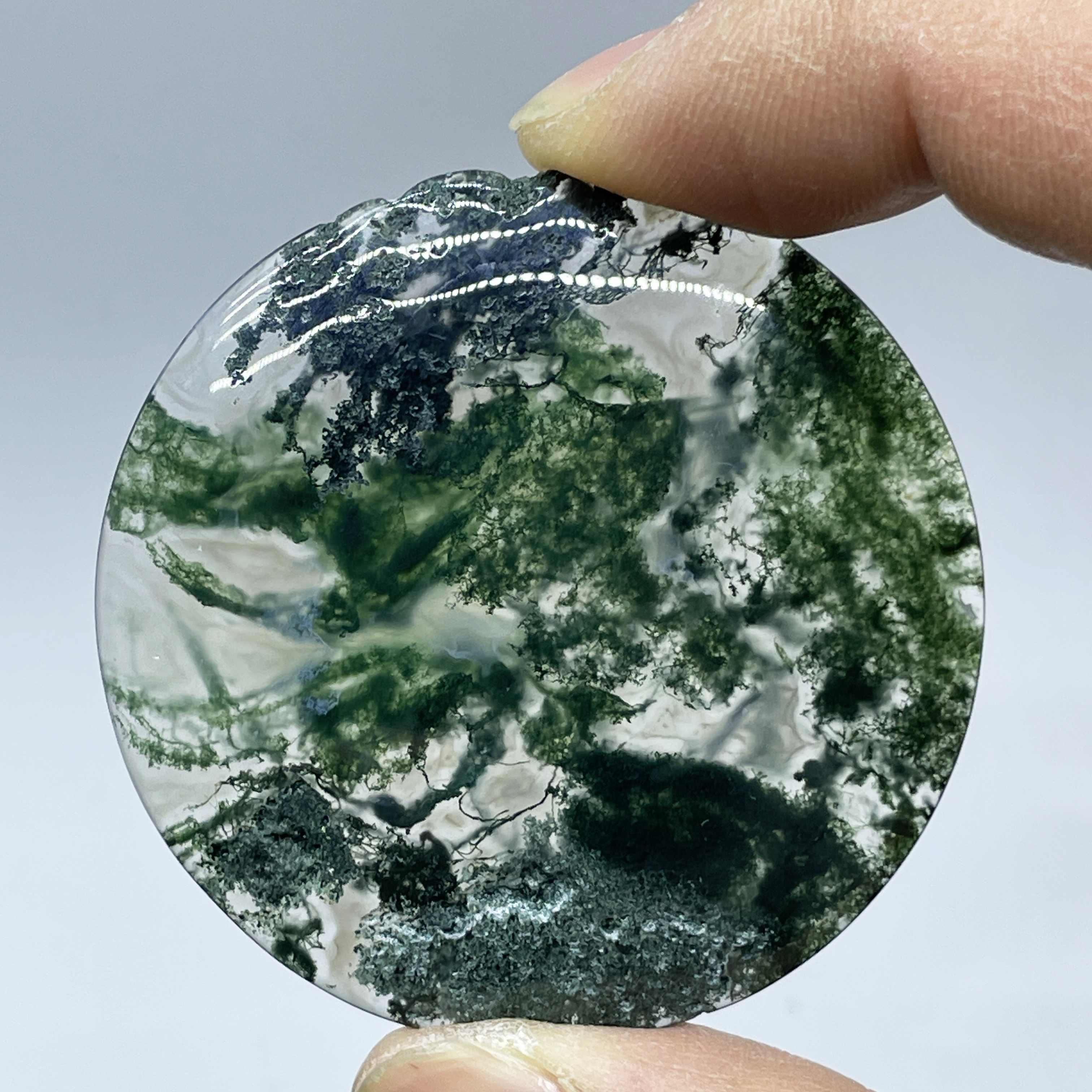 Natural Crystal Moss Agate Wat - Terrarium Moss Art recensie en prijs