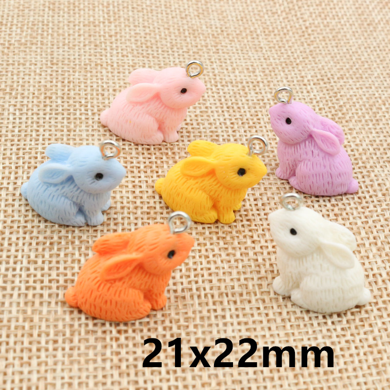 10PCS Resin Pendant Charms Rab - Resin Craft Supplies recensie en prijs