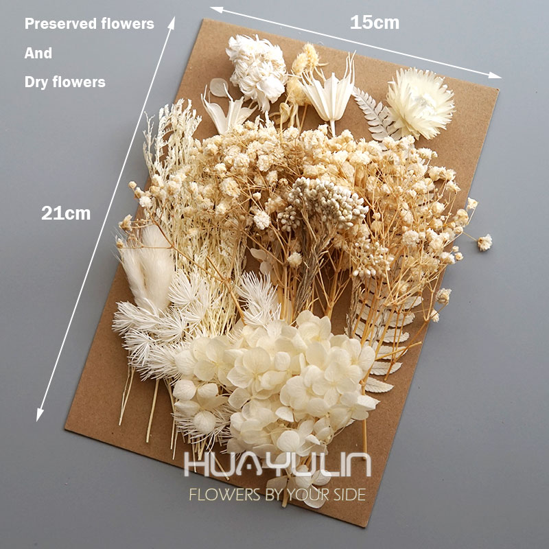 1 Pack Artificial Plants Dried - Flower Preservation Resin recensie en prijs