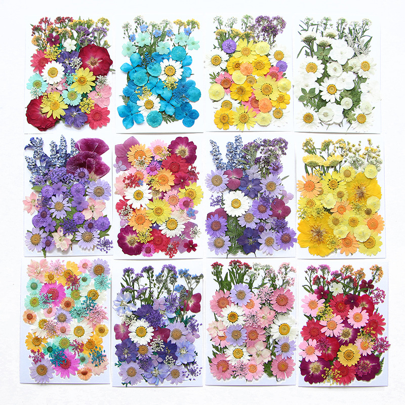6pcsDried Flowers Real Natural - Flower Preservation Resin recensie en prijs