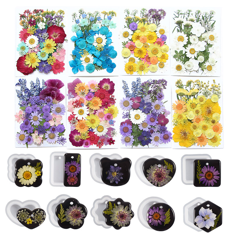 6pcsDried Flowers Real Natural - Flower Preservation Resin recensie en prijs