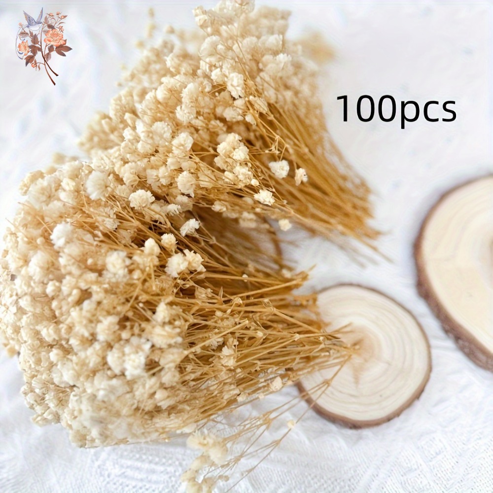 100pcs Mini Dried Baby's Breat - Resin Craft Ideas recensie en prijs